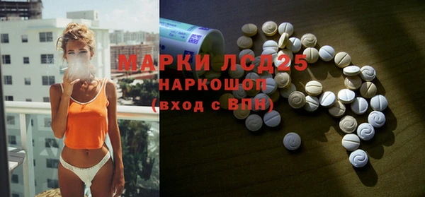 гидропоника Бородино