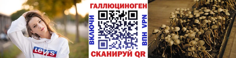 наркота  нарко площадка наркотические препараты  Псилоцибиновые грибы мухоморы  Дедовск 